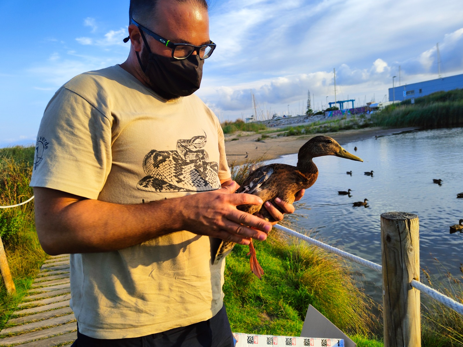 RECOLLIDA DE FAUNA 2021